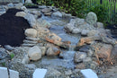Blue Thumb Elite 28" Medium Spillway Falls Kit 6000gph