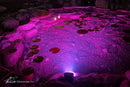 Aquascape Color-Changing 11-Watt Wide-Angle Light