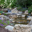 Atlantic Water Gardens Medium Pond-free Kit