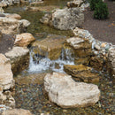 Atlantic Water Gardens Large Pond-free Kit