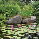 Atlantic Water Gardens Extra Large Water Garden Kit