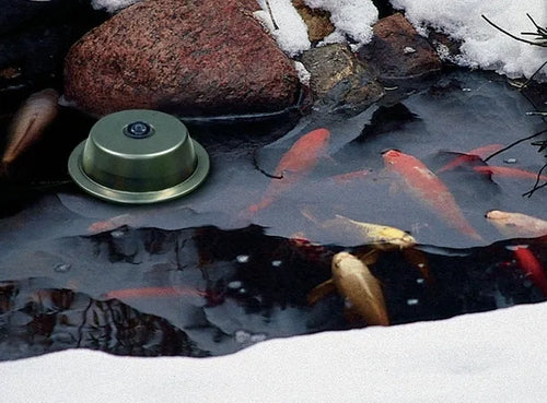 How To Get Your Backyard Pond Ready for the Cold Months