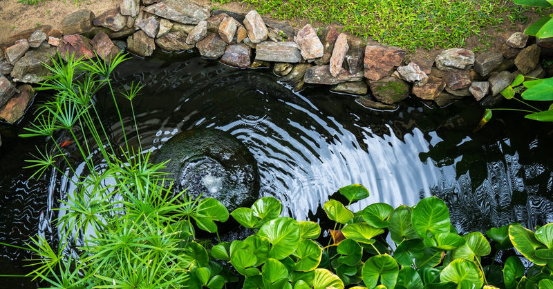An aerial view shows a small pond with a rocky edge and a small fountain in the middle, surrounded by grass and plants.