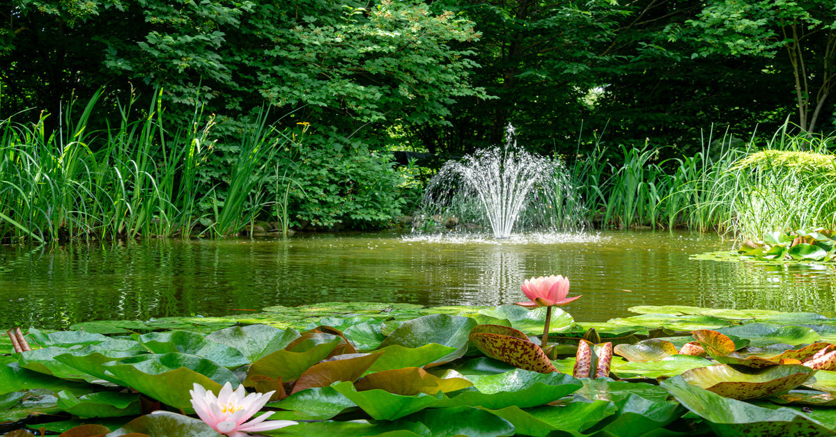 Pond Fountains vs Waterfalls: Making a Key Design Decision