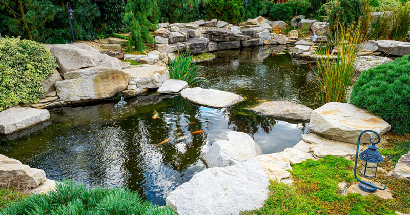 A Complete Guide to Water Tests for Residential Ponds