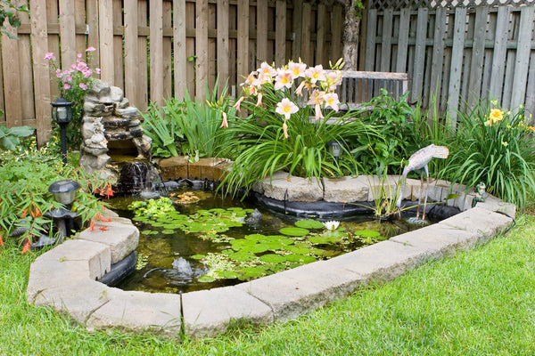 Everything You Need to Know About Fountains and Pumps for Your Outdoor Space