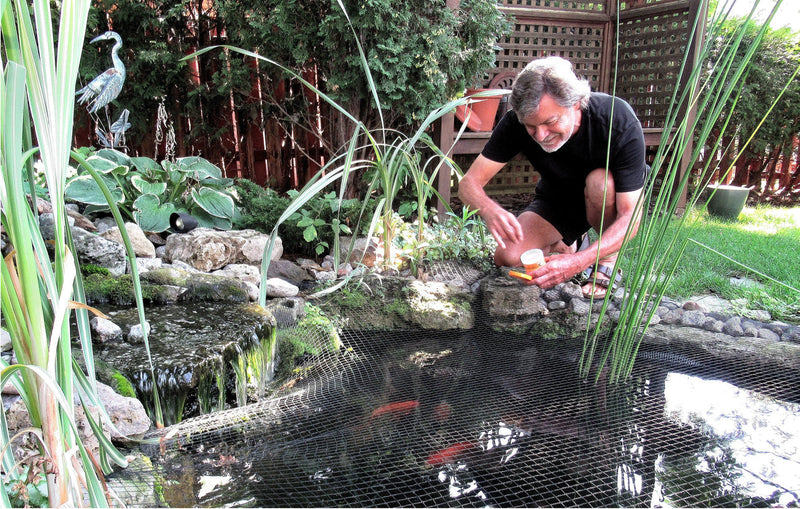 Water Treatment Basics for Backyard Ponds