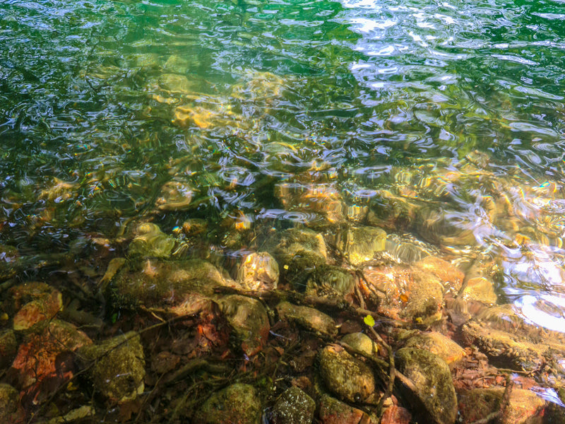 Crystal Clear Pond Water: The Ultimate Guide for Pristine Ponds