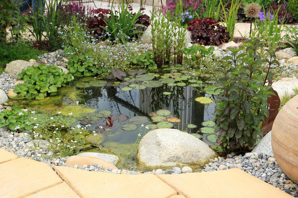 10 Common Myths About Your Pond CORRECTED! | Prepare for Spring with Pond Universe