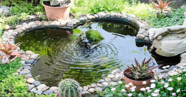 A small, glover shaped pond with rocks and potted plants around it. A bubbling fountain sprays water from the center.