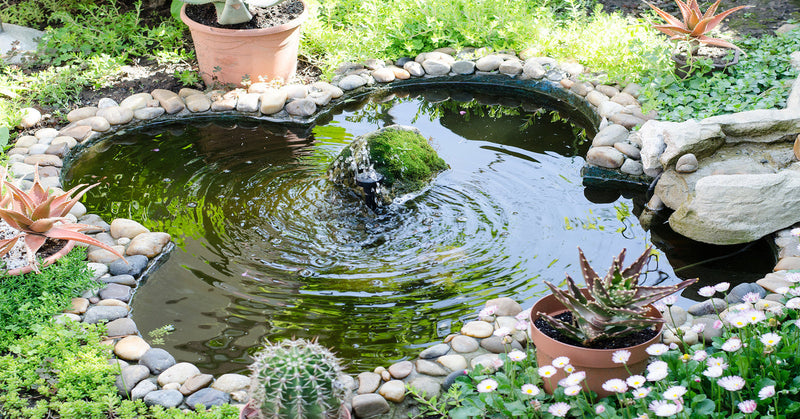 A small, glover shaped pond with rocks and potted plants around it. A bubbling fountain sprays water from the center.