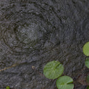 Atlantic Water Gardens Diaphragm Air Pumps