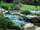 Atlantic Water Gardens 17" Pond Filter & Waterfall Spillway