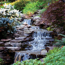 Atlantic Water Gardens Large Pond-free Kit