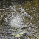 Atlantic Water Gardens Mini Aeration Kit