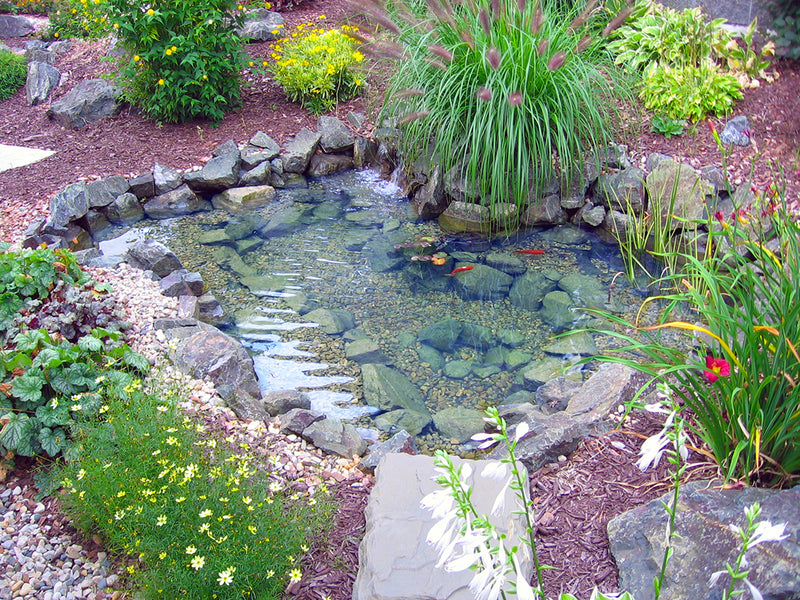 EasyPro Pro-Series Mini Pond Kit – Complete for 6′ X 6′ Pond