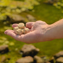 Kasco Pond Probiotics Beneficial Bacteria