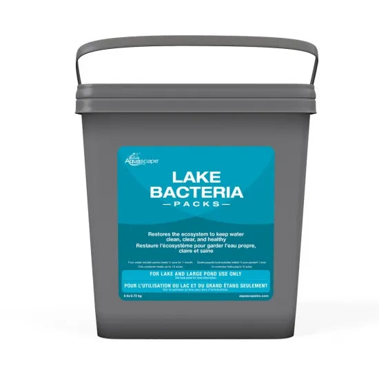 Aquascape Lake Bacteria