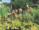 Blue Thumb Small DIY Pond Kit