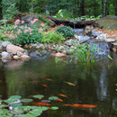 Blue Thumb Pond Maintenance Kit