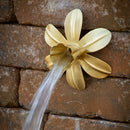 Blue Thumb Wall Spout Mini Basin Kit