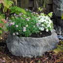 Blue Thumb Accent Planter