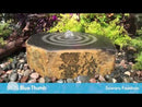 Blue Thumb Suwaru Fountain Kit