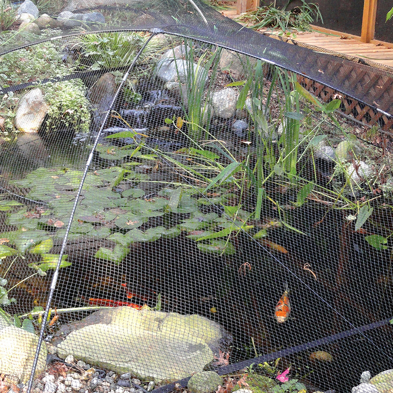Atlantic Pond & Garden Protector Net - Large