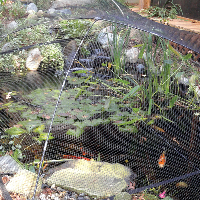 Atlantic Pond & Garden Protector Net - Small