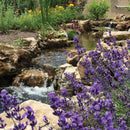 Atlantic Water Gardens Filter Fall BF1900