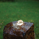 Atlantic 2 Watt Fountain Light